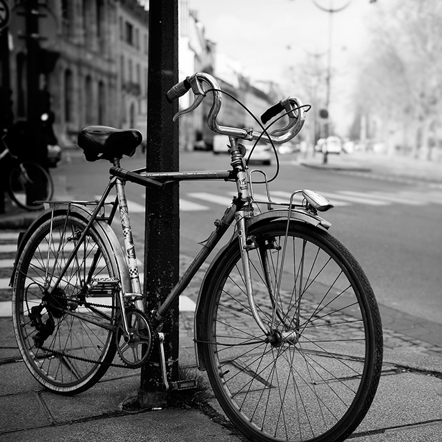 Parisian Bicycle